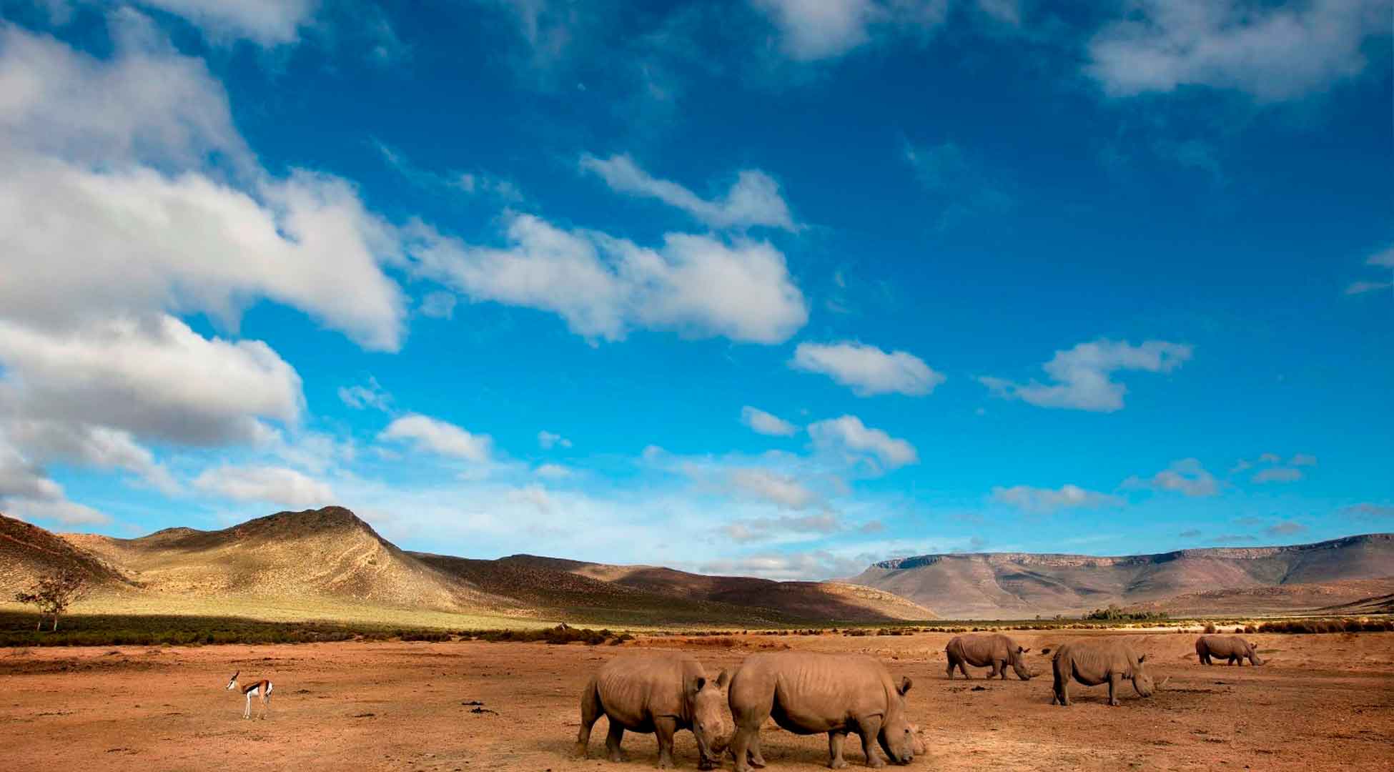 11Mkomazi National Park