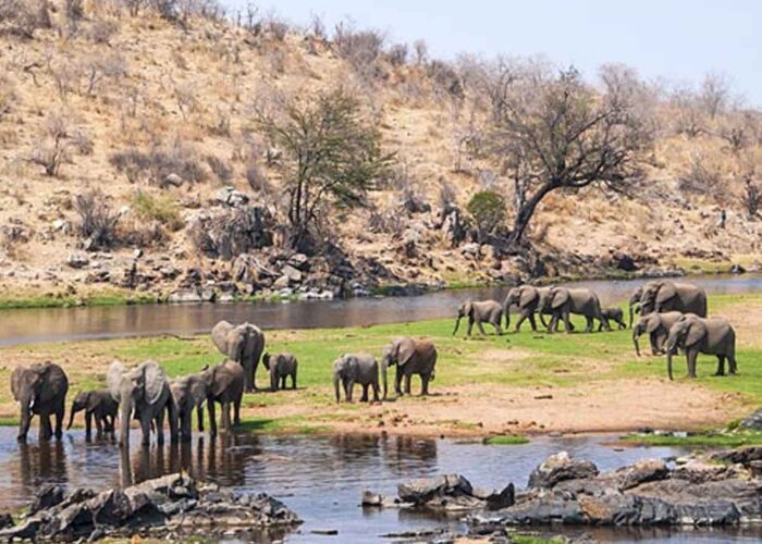 Ruaha National Park