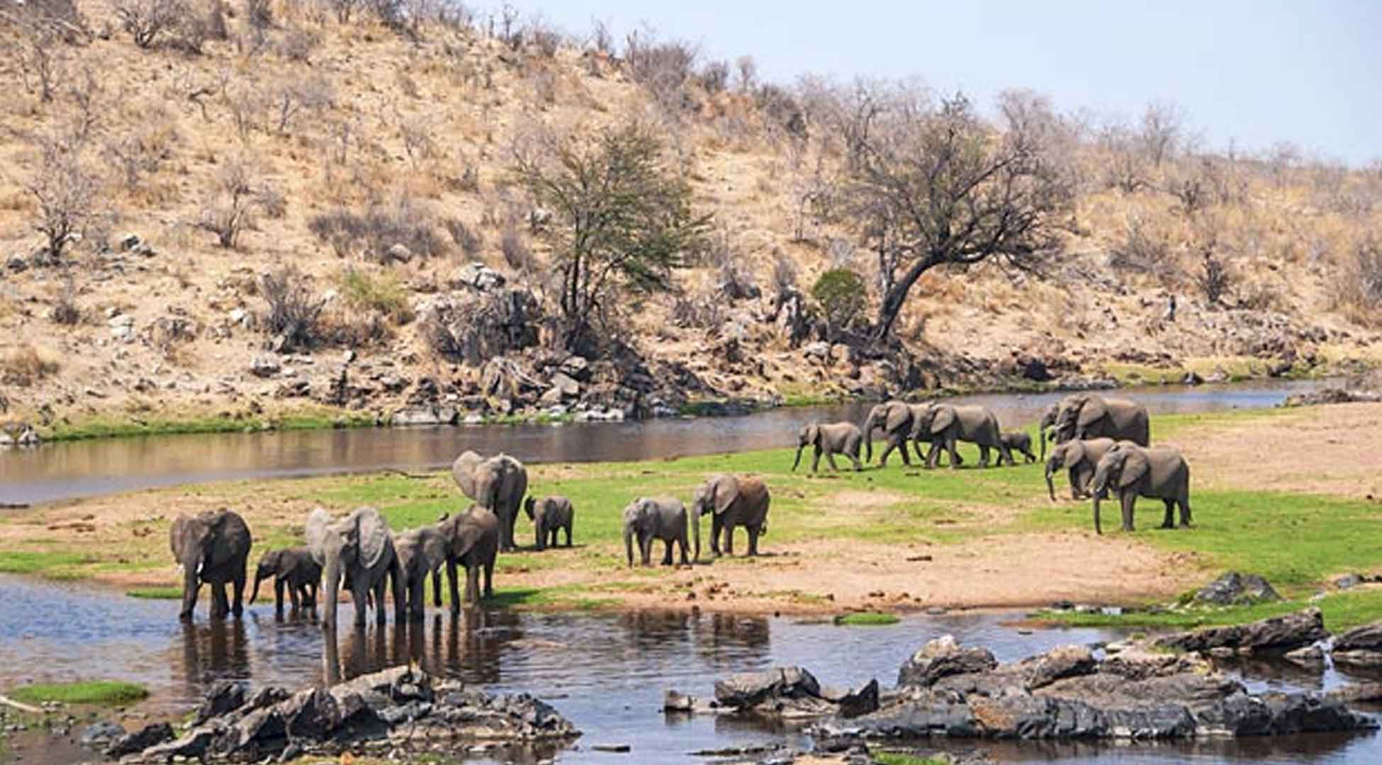 Ruaha National Park