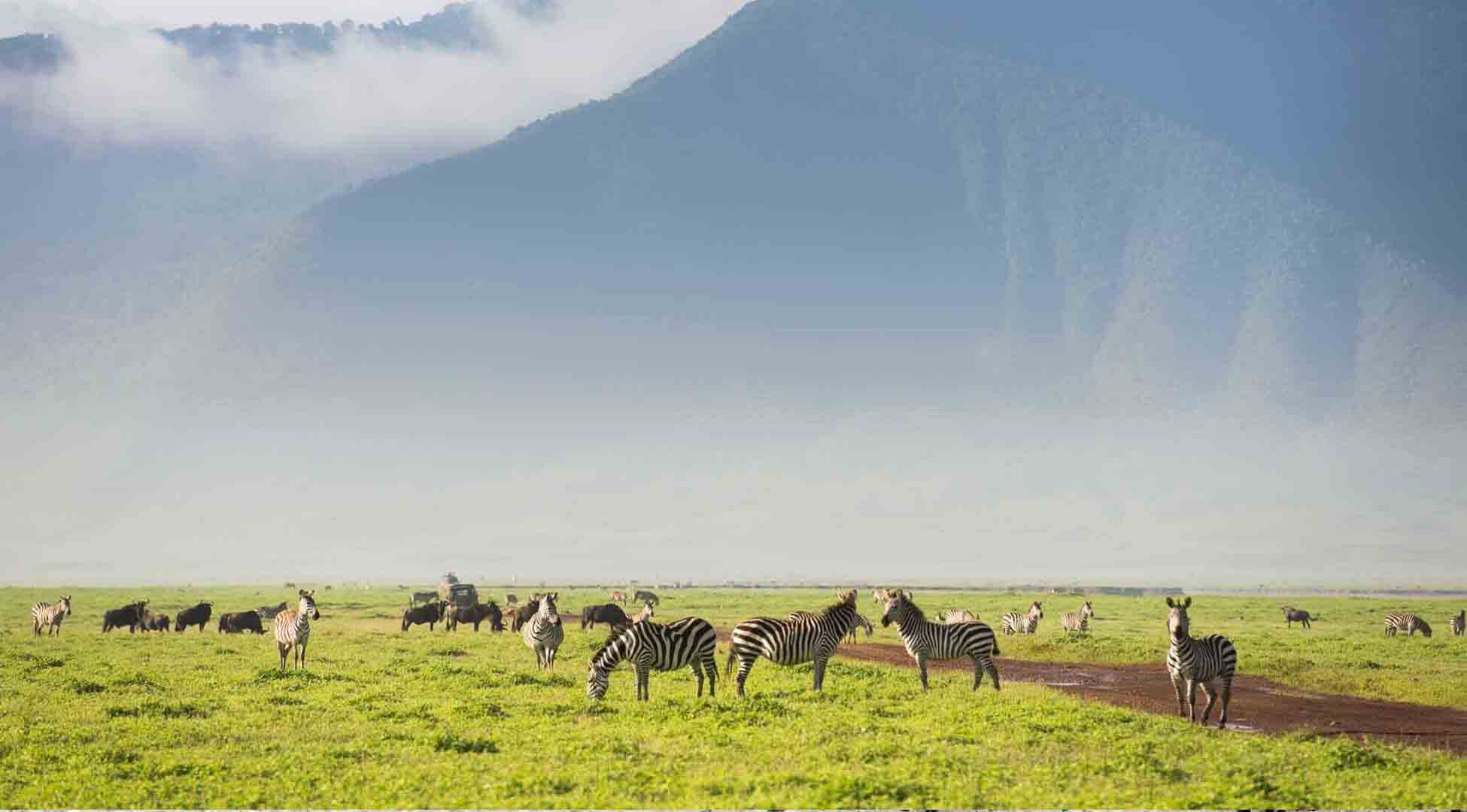 11ngorongoro conservation area