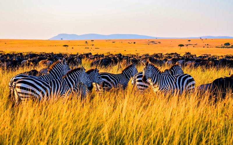 Serengeti-National-Park