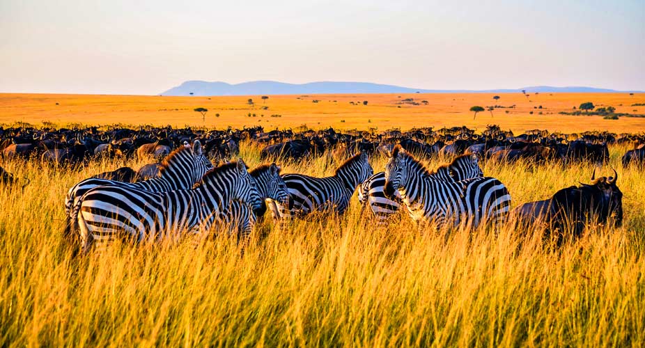 Serengeti-National-Park